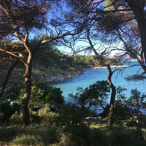 Single In The Heart Of Pensión